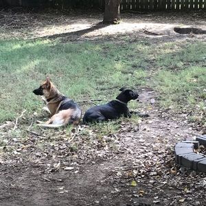 Meet your Posher, Richard